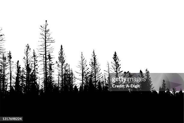 treeline spruce silhouettes - focus on shadow stock illustrations