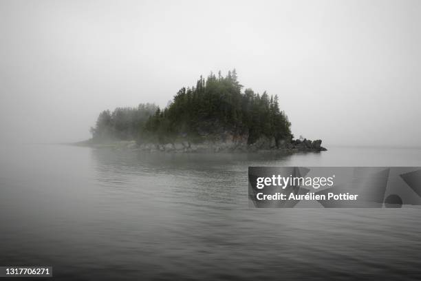 parc national du bic, the wharf island in the fog - río de st lawrence fotografías e imágenes de stock