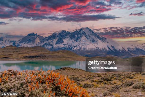 torres del paine national park, chile. (torres del paine national park) - explora park stock pictures, royalty-free photos & images