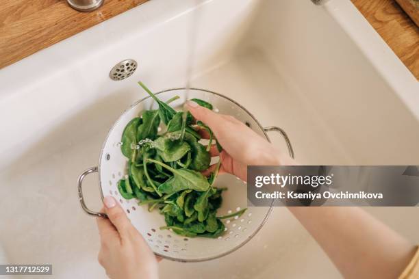 female hands washing spinach vegetables at the kitchen sink. - spinazie stockfoto's en -beelden