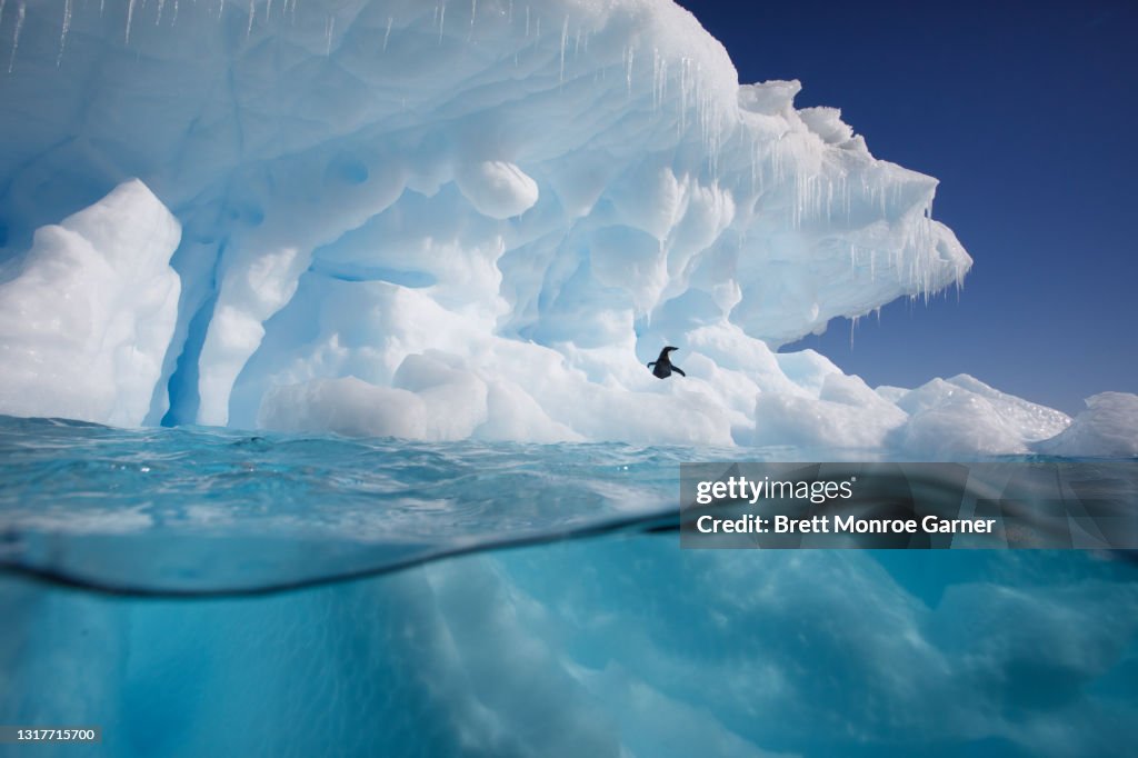 Iceberg in Antarctica