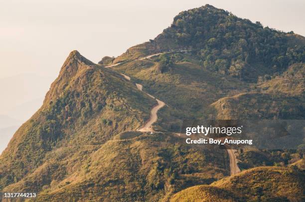 beautiful mountain nearly the border of thai and laos in wiang kaen district of chiang rai province of thailand view from top of doi pha tang mountain. - steep stock pictures, royalty-free photos & images