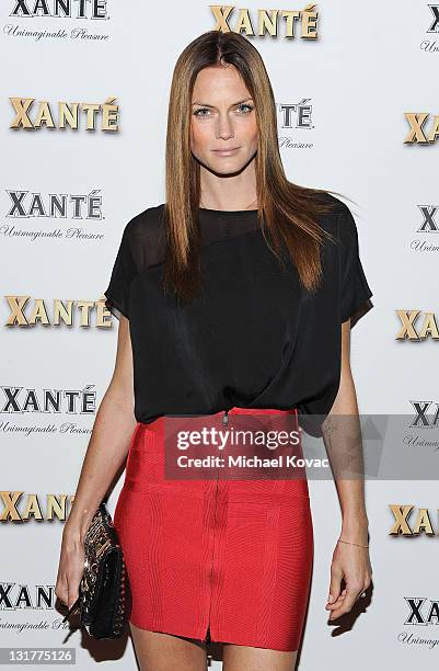 Actress Mini Anden attends the Grammy Xante Party with Jonas Hallberg and Ina Soltani at Private Residence on February 12, 2011 in Pacific Palisades,...