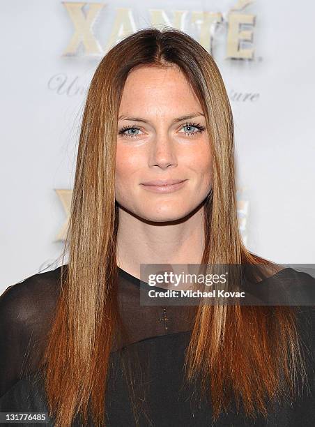 Actress Mini Anden attends the Grammy Xante Party with Jonas Hallberg and Ina Soltani at Private Residence on February 12, 2011 in Pacific Palisades,...