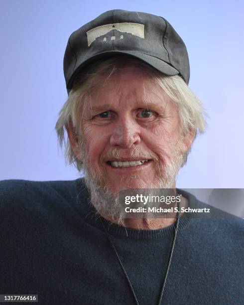 Gary Bus Gary Busey House Photos and Premium High Res Pictures - Getty Images