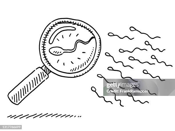 sperm under magnifying glass drawing - sperm stock illustrations