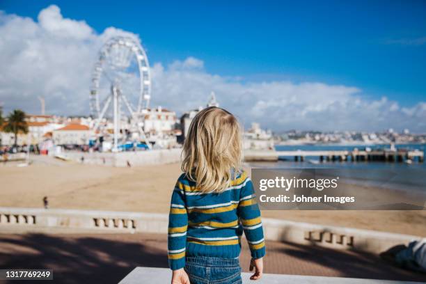 rear view of girl looking at ferris wheel - girl long hair stock pictures, royalty-free photos & images