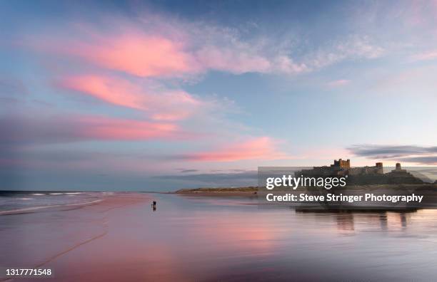 bamburgh castle - northumberland photos et images de collection