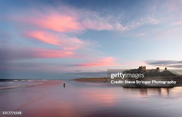 bamburgh castle - castle imagens e fotografias de stock