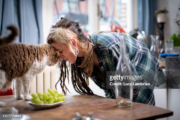 young woman touching cat's head with with her head - curly hair woman white shirt stock pictures, royalty-free photos & images