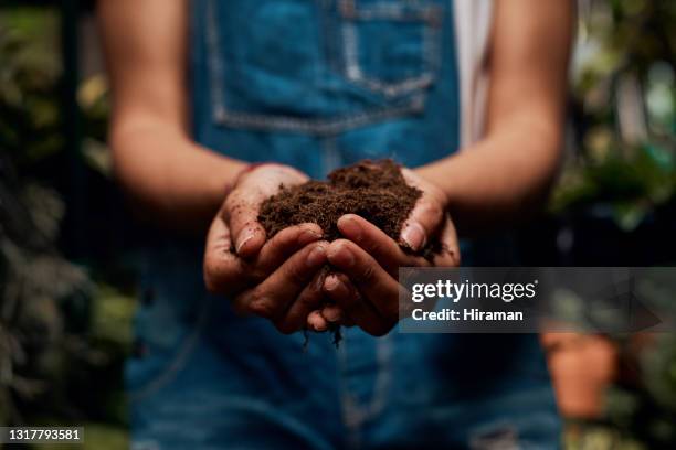 shot of an unrecognisable woman holding soil while working in a garden centre - compost stock pictures, royalty-free photos & images