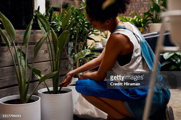 shot of a young woman working with plants in a garden centre - sand plants stock pictures, royalty-free photos & images