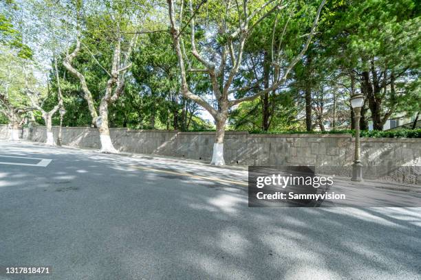 avenue with trees against sunlight - boulevard foto e immagini stock