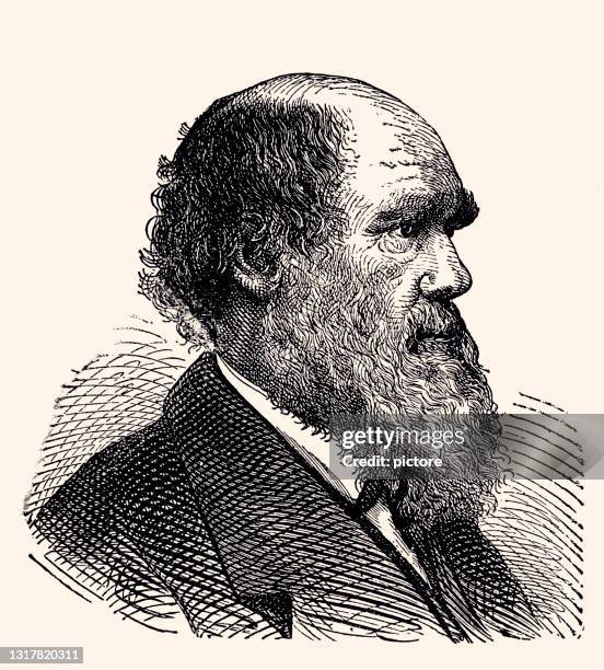 charles darwin 1809-1882 (xxxl with lots of details) - charles darwin naturalist stock illustrations