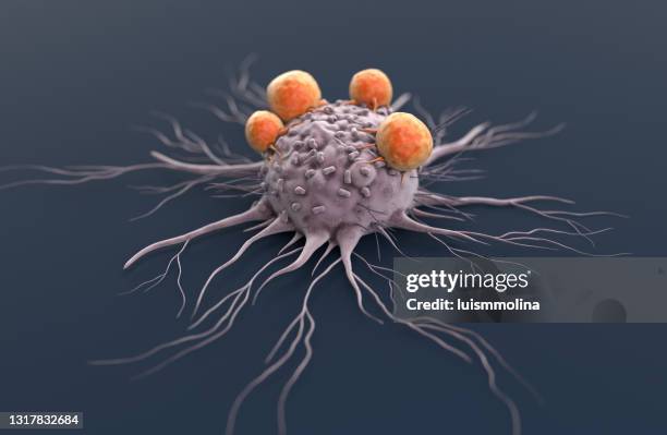 cancer cell attacked by lymphocytes - oncology abstract stock pictures, royalty-free photos & images
