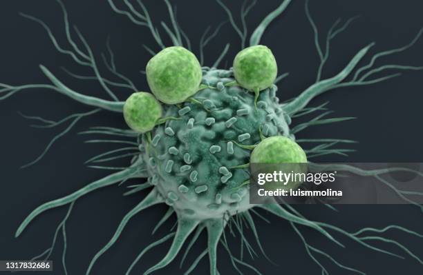 cancer cell attacked by lymphocytes - immunology stock pictures, royalty-free photos & images