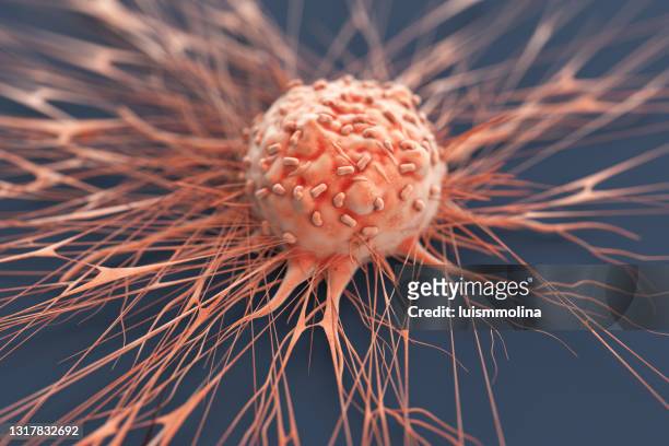 célula de cáncer humano - tumor fotografías e imágenes de stock