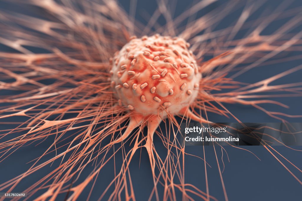 Human Cancer Cell