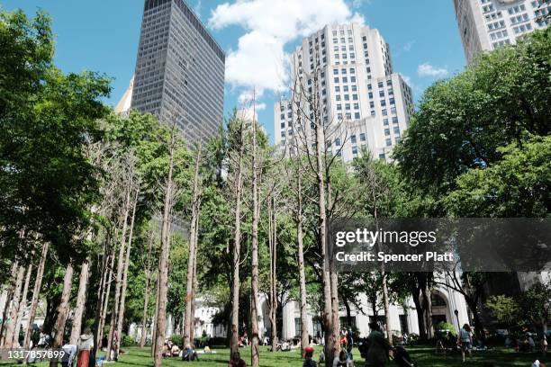 People enjoy a warm afternoon beside the artistic installation "Ghost Forest", by artist and architect Maya Lin, in Madison Square Park on May 13,...