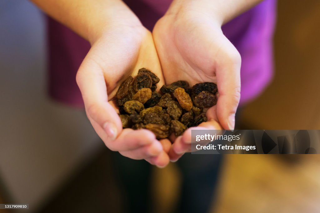 Cupped hands holding raisins, close-up