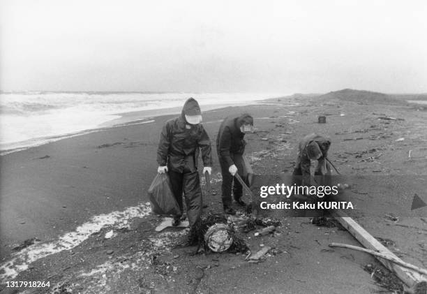 Recherches des débris du vol Korean Air Lines 007 sur la plage de Wakkanai, en septembre 1983.