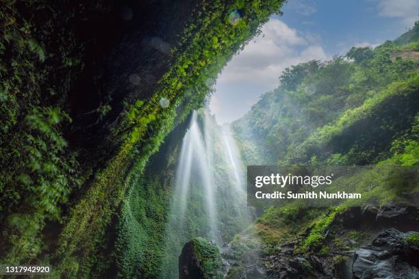 madakaripura waterfall, is popular attraction and the tallest waterfall in deep forest at bromo, indonesia - surabaya stock pictures, royalty-free photos & images