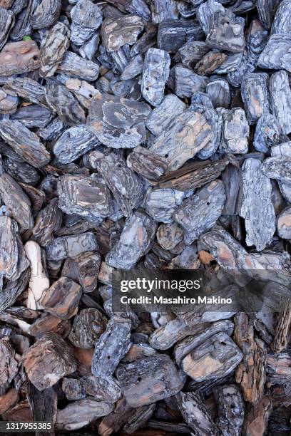 tree bark chippings - bark mulch stock pictures, royalty-free photos & images