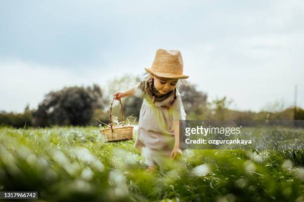 little girl is collecting eggs in basket in the farm - pascoa imagens e fotografias de stock