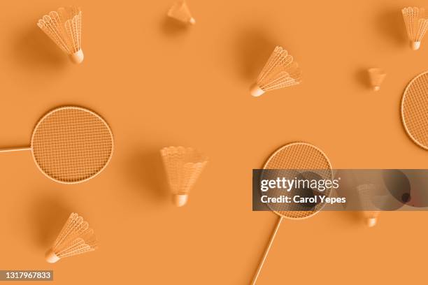 Badminton Racket Bottom View 581 Badminton Top View Stock Photos, High-Res Pictures, and Images ...