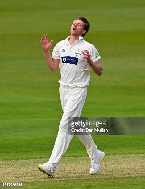Michael Hogan of Glamorgan reacts after bowling to Gary Ballance of Yorkshire during day two of the LV= County Championship match between Glamorgan...