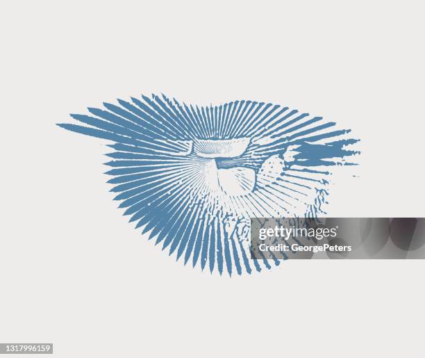 woman biting lip - biting lips stock illustrations