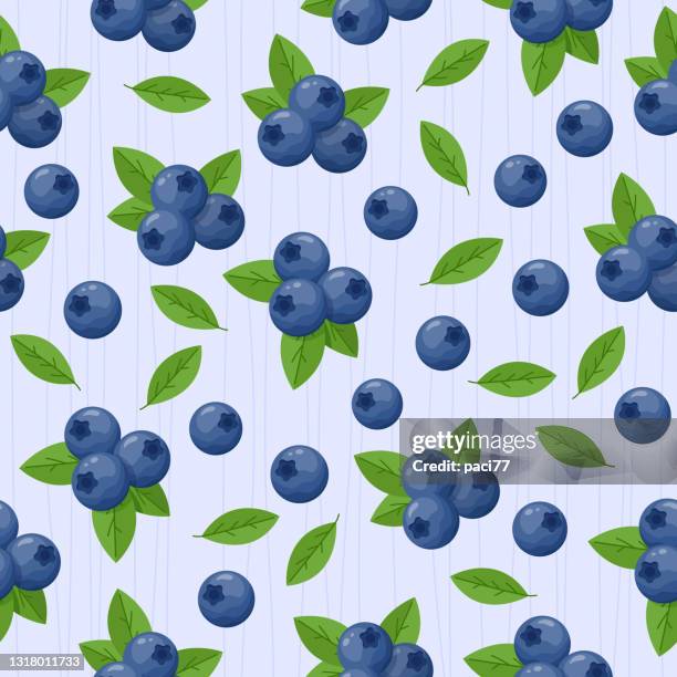 stockillustraties, clipart, cartoons en iconen met bosbessen met groene bladeren vector naadloos patroon. - blueberry