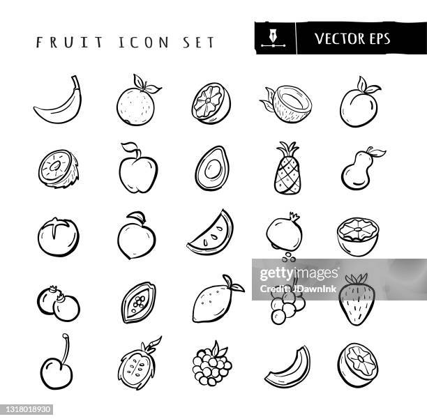 ilustraciones, imágenes clip art, dibujos animados e iconos de stock de comida entera y en rodajas de frutas y elementos grandes dibujados a mano icon set - trazo editable - coco