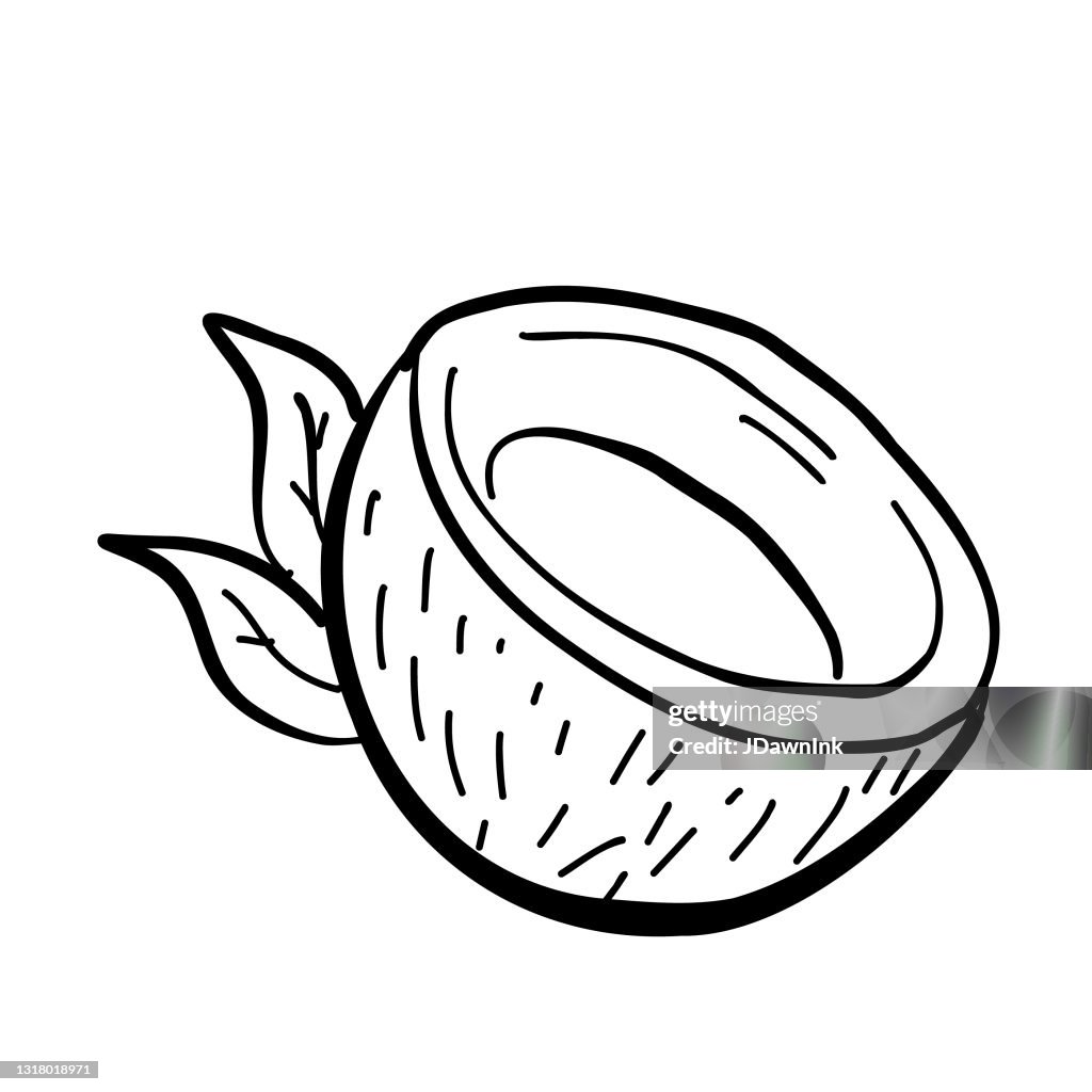 ココナッツハーフフルーツは白で分離