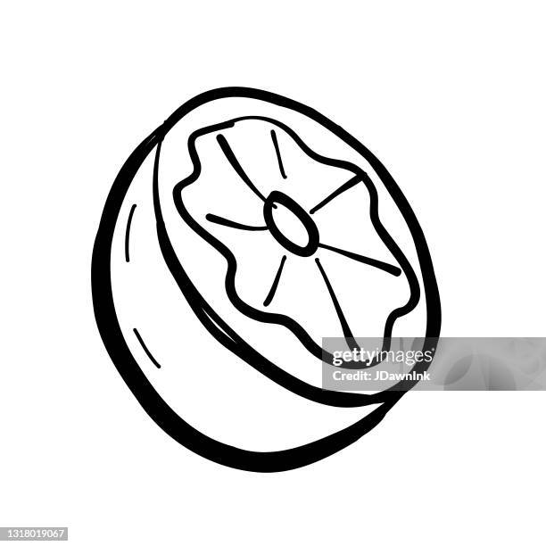 blood orange half fruit isolated on white - blood orange isolated stock illustrations