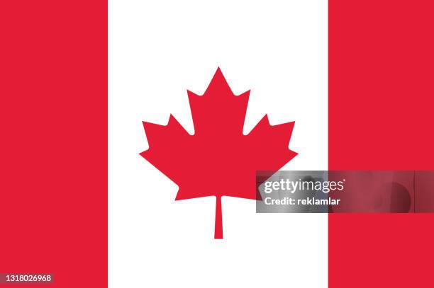 vector flag of the republic of canada . national flag of canada. illustration - canadian flag stock illustrations