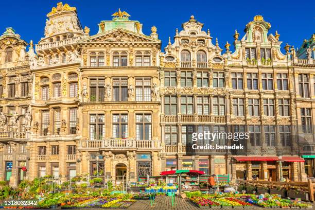 bruselas bélgica gran lugar - grand place brussels fotografías e imágenes de stock