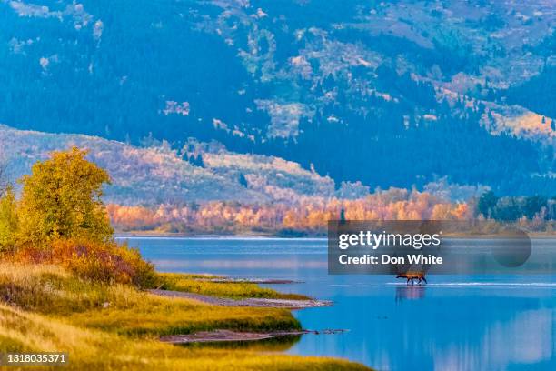 waterton-nationalpark in alberta kanada - waterton lakes national park stock-fotos und bilder