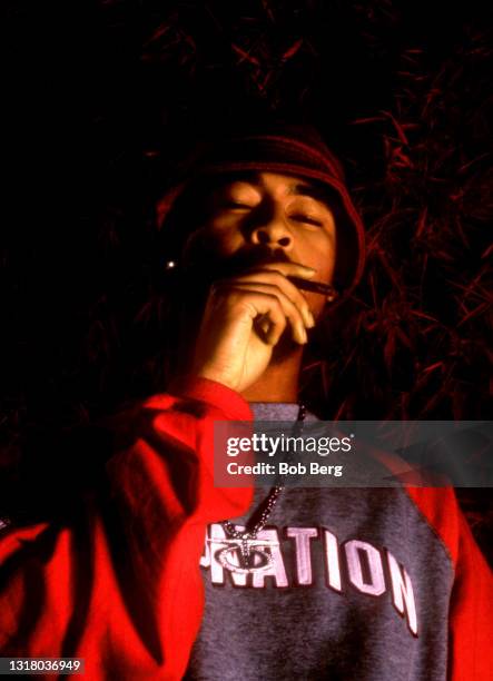 American rapper, record producer, singer, actor, DJ and former leader of A Tribe Called Quest, Q-Tip poses for a portrait with a blunt circa...