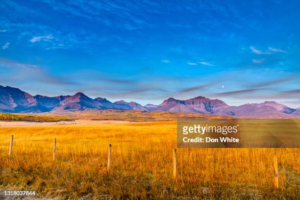 het platteland van alberta canada - prairie stockfoto's en -beelden