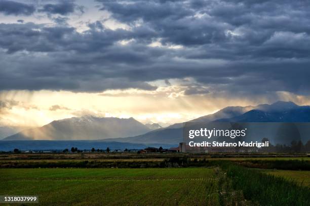 countryside landscape with snowy mountains at sunset - vercelli stock-fotos und bilder