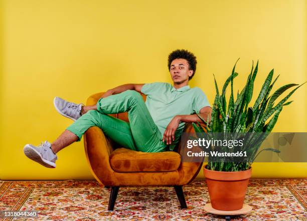 young man sitting on armchair by plant - sitting imagens e fotografias de stock