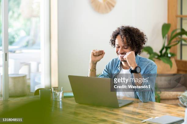 ecstatic male professional celebrating success in front of laptop at home - em frente de imagens e fotografias de stock