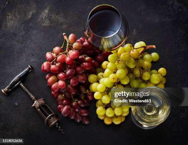 studio shot of fresh grapes,corkscrewand two glass of red and white wine - red and white wine glasses stock-fotos und bilder