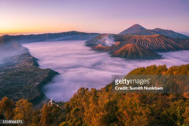 sea of fog flowing village landscape viewpoint, sunrise in the morning northeast at mount bromo in bromo tengger semeru national park, east java province, indonesia. - ブロモ山 ストックフォトと画像