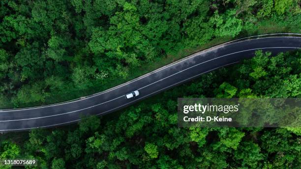 weg - aerial forest stockfoto's en -beelden