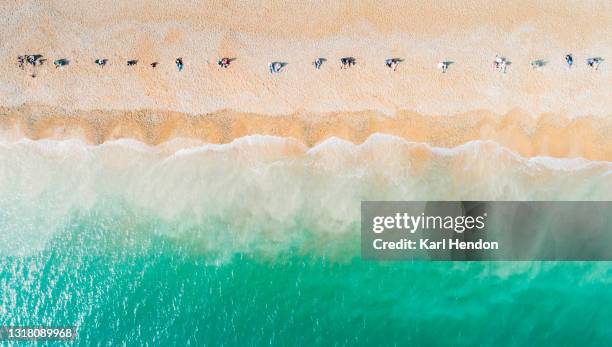 a daytime aerial view of hastings beach - stock photo - hastings stock pictures, royalty-free photos & images