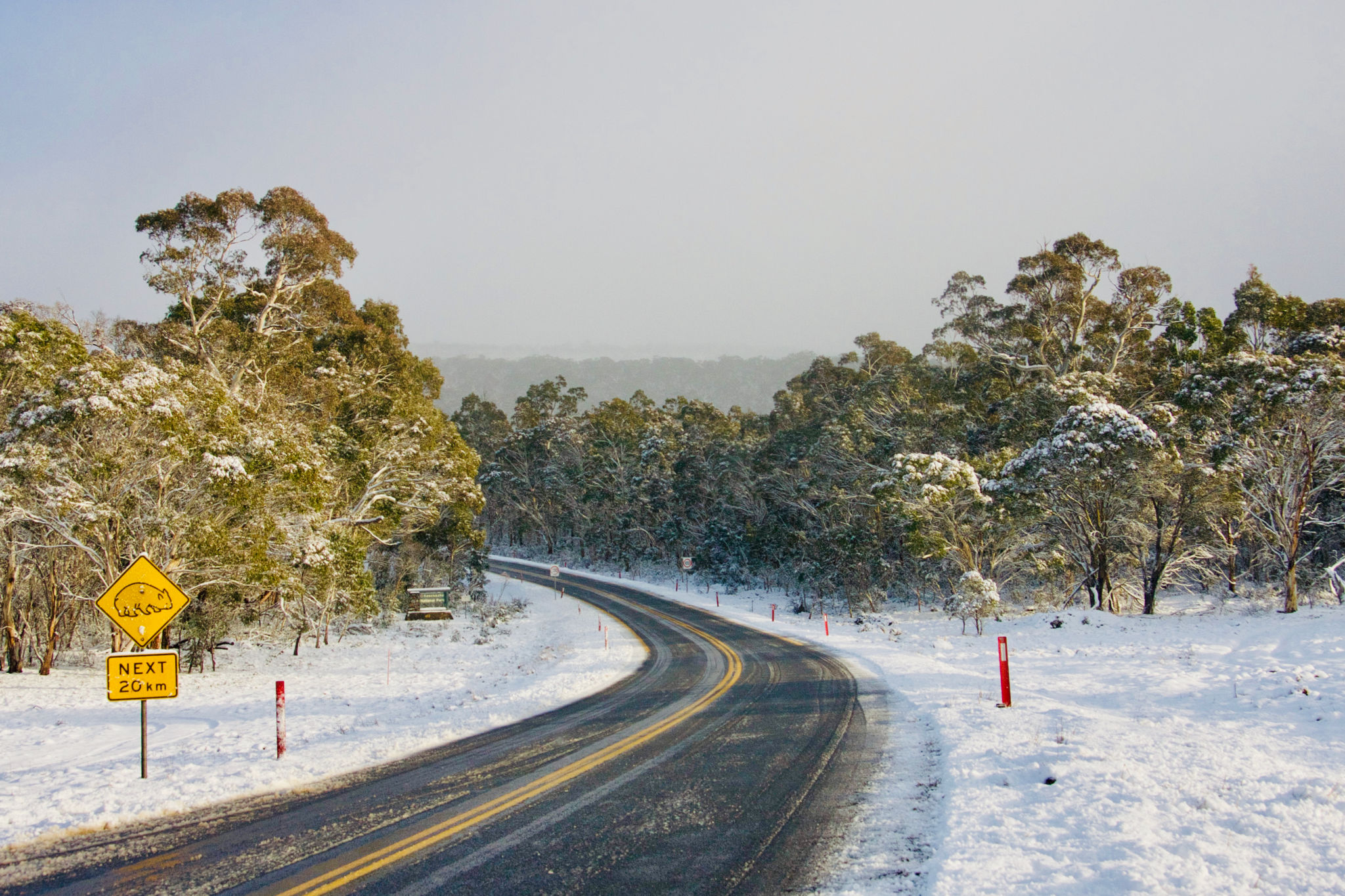 winter australian food