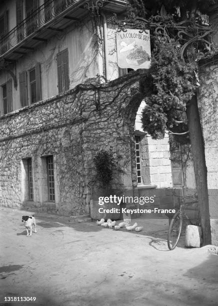 Auberge de la 'Colombe d'Or' à Saint-Paul-de-Vence, en février 1949.