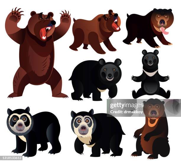 bears - bear roar stock illustrations